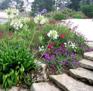 Créations paysagères avec les Jardins de Kerperdrix de St-Armel en Morbihan